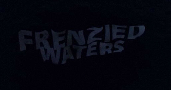 frenzied-waters-logo